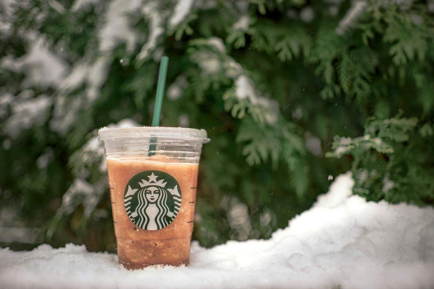 Starbucks Cold Foam Calories